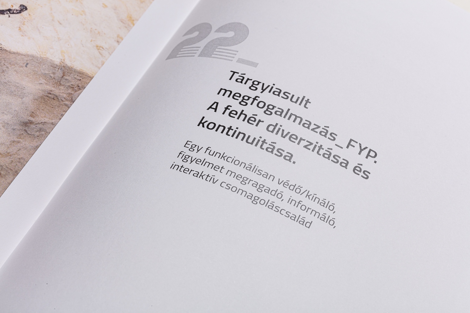 Tactile%20whiteness%20book_Andrea%20Brittnek_11_Photo%20by%20Zsoka%20Jambor_2024%20-%201500x1000px.JPG