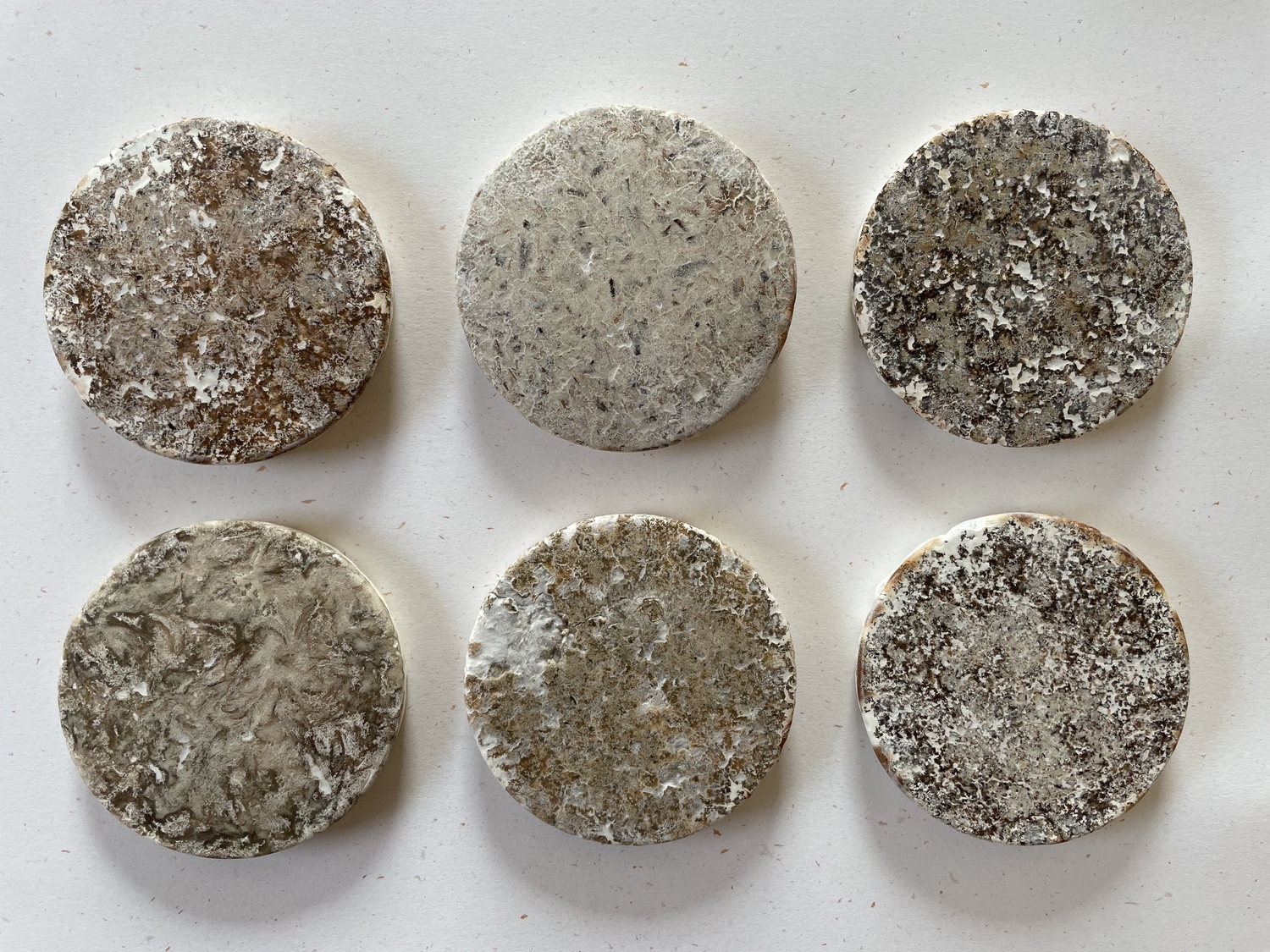 Mycelium%20material%20and%20form%20experiments_Brittnek%20Andrea_1%20_Photo%20by%20Andrea%20Brittnek_2021%20-%201500x1125px.jpeg