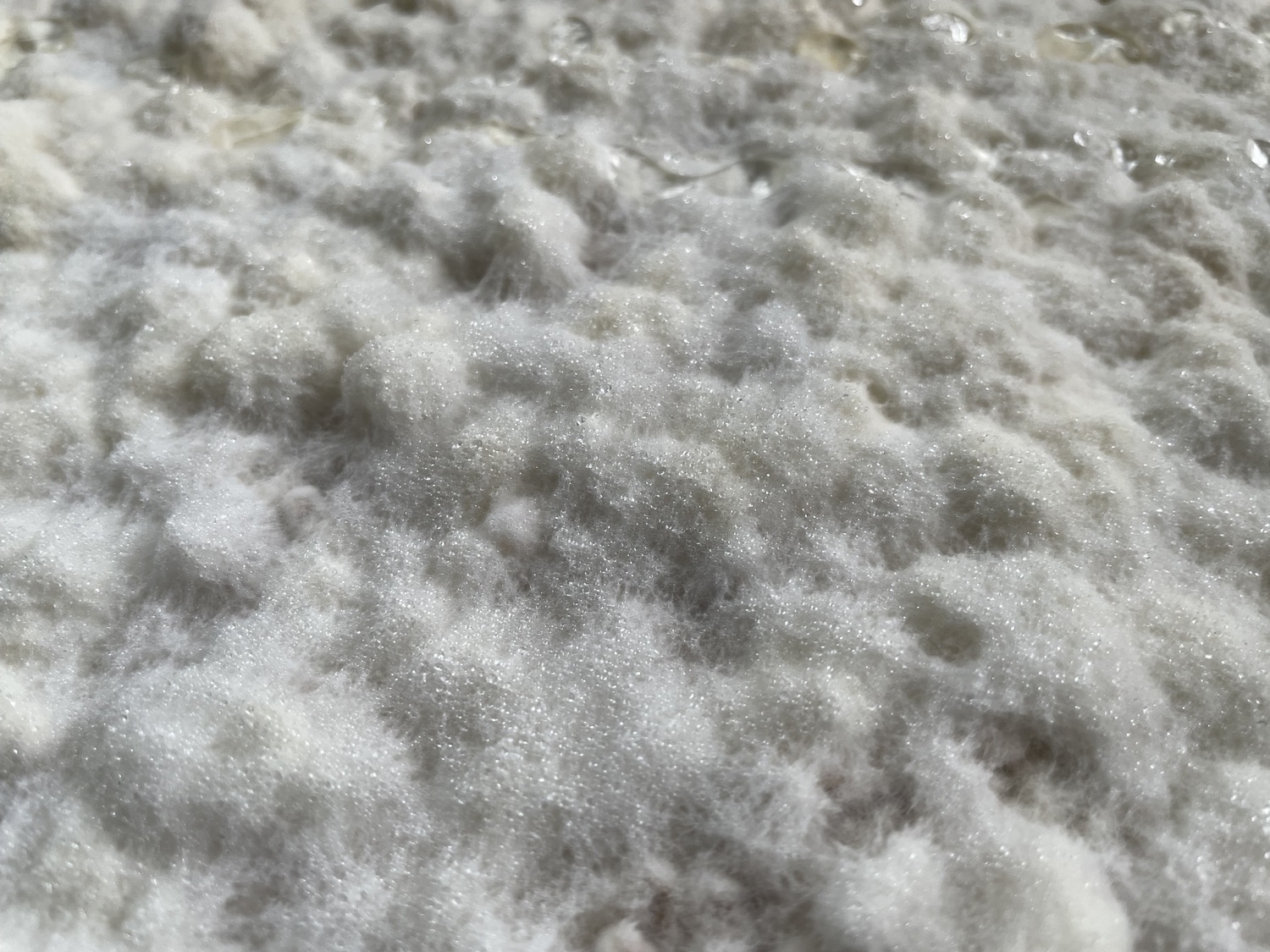Mycelium%20material%20and%20form%20experiments_Brittnek%20Andrea_10_Photo%20by%20Andrea%20Brittnek_2022%20-%201500x1125px.jpeg