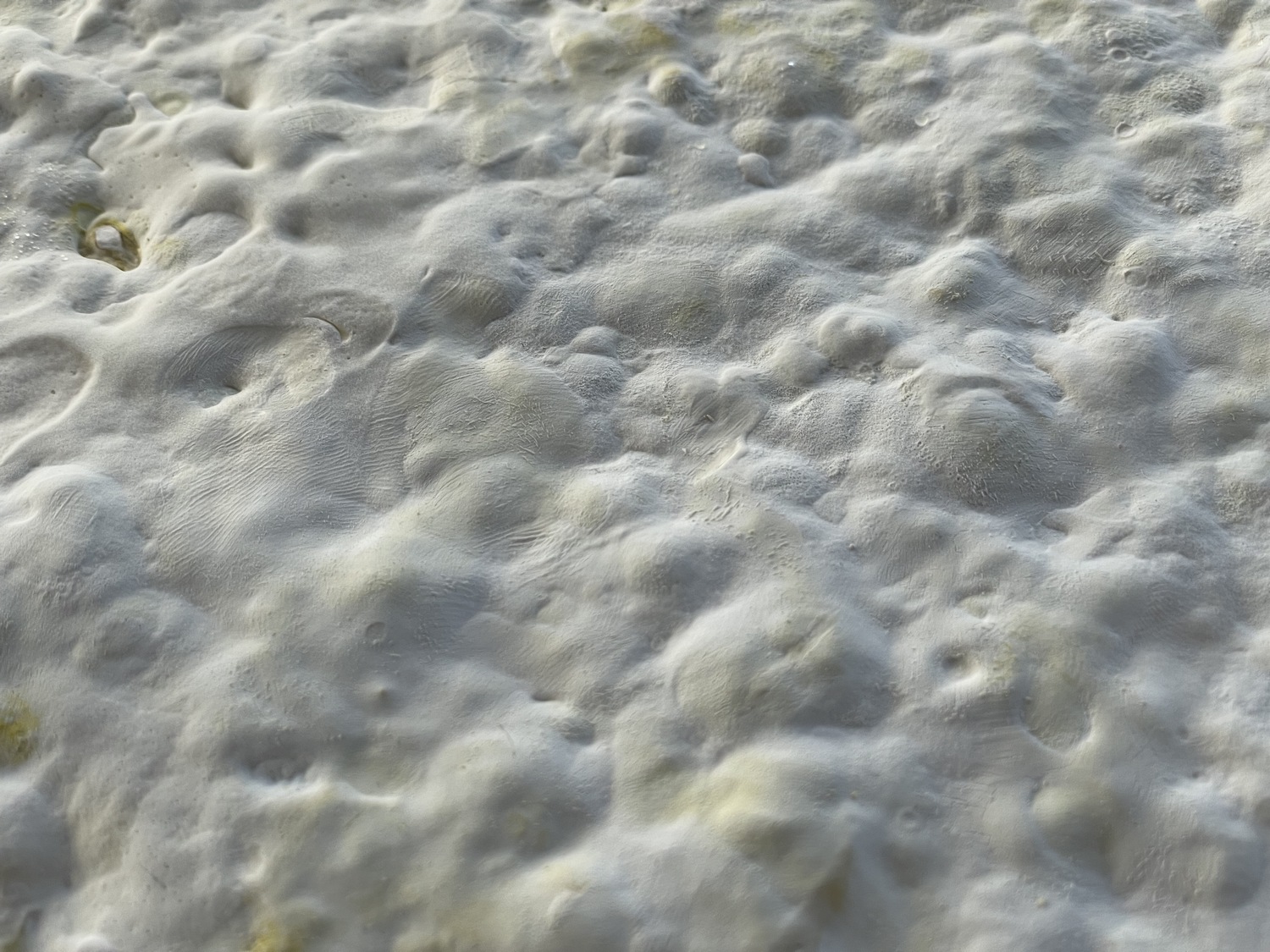 Mycelium%20material%20and%20form%20experiments_Brittnek%20Andrea_11_Photo%20by%20Andrea%20Brittnek_2022%20-%201500x1125px.jpeg