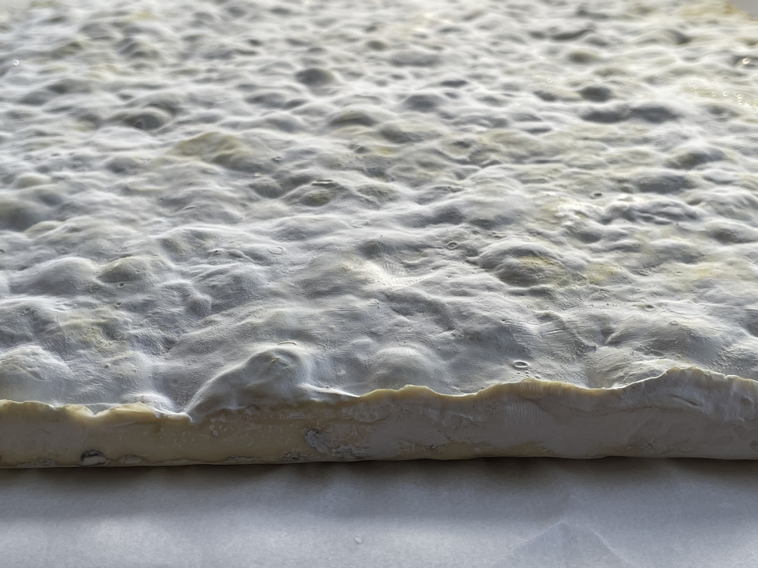 Mycelium%20material%20and%20form%20experiments_Brittnek%20Andrea_12_Photo%20by%20Andrea%20Brittnek_2022%20-%201500x1125px.jpeg