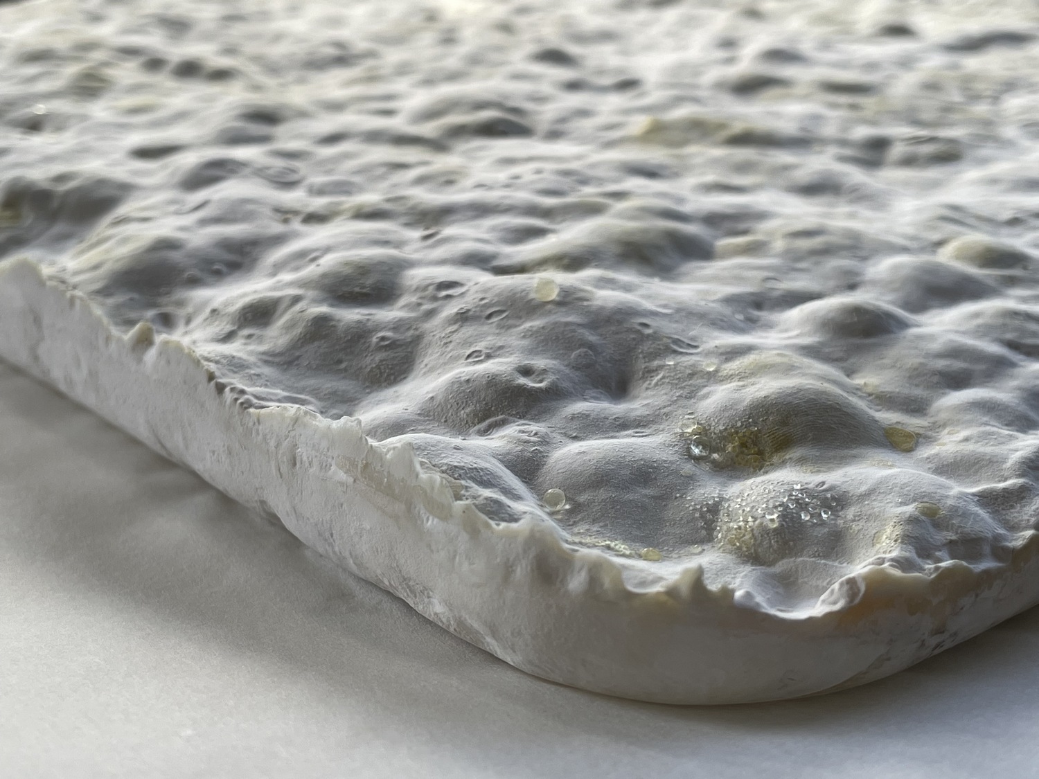 Mycelium%20material%20and%20form%20experiments_Brittnek%20Andrea_13_Photo%20by%20Andrea%20Brittnek_2022%20-%201500x1125px.jpeg