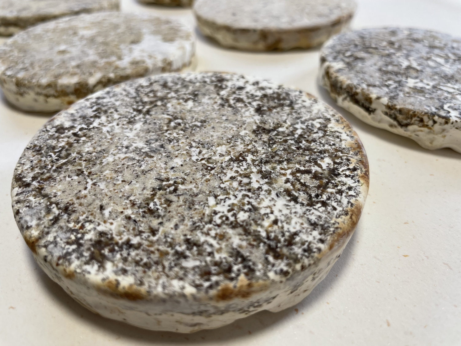 Mycelium%20material%20and%20form%20experiments_Brittnek%20Andrea_2%20_Photo%20by%20Andrea%20Brittnek_2021%20-%201500x1125px.jpg