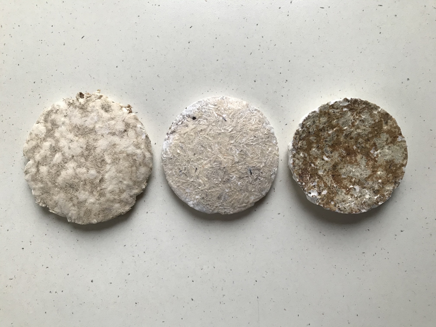 Mycelium%20material%20and%20form%20experiments_Brittnek%20Andrea_6%20_Photo%20by%20Andrea%20Brittnek_2021%20-%201500x1125px.jpeg