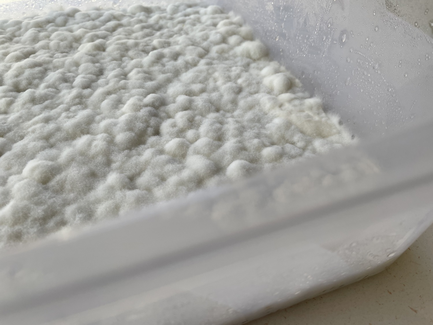 Mycelium%20material%20and%20form%20experiments_Brittnek%20Andrea_9%20_Photo%20by%20Andrea%20Brittnek_2022%20-%201500x1125px.jpeg