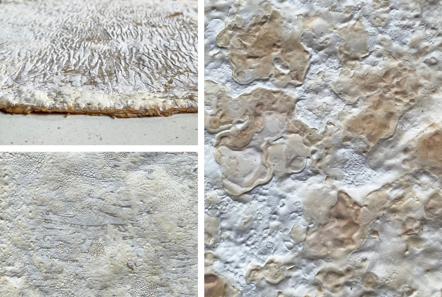Mycelium%20paper%20experiments_Andrea%20Brittnek_10_Photo%20by%20Zsoka%20Jambor_2024%20-%201500x1010px.jpg