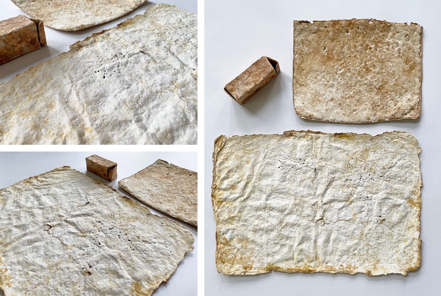 Mycelium%20paper%20experiments_Andrea%20Brittnek_7_Photo%20by%20Zsoka%20Jambor_2024%20-%201500x1010px.jpg