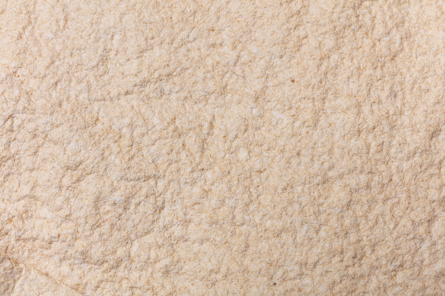 Tactile%20whiteness_FYP_New%20packaging%20materials_Andrea%20Brittnek_20_Photo%20by%20Zsoka%20Jambor_2025%20-%201500x1000px.JPG