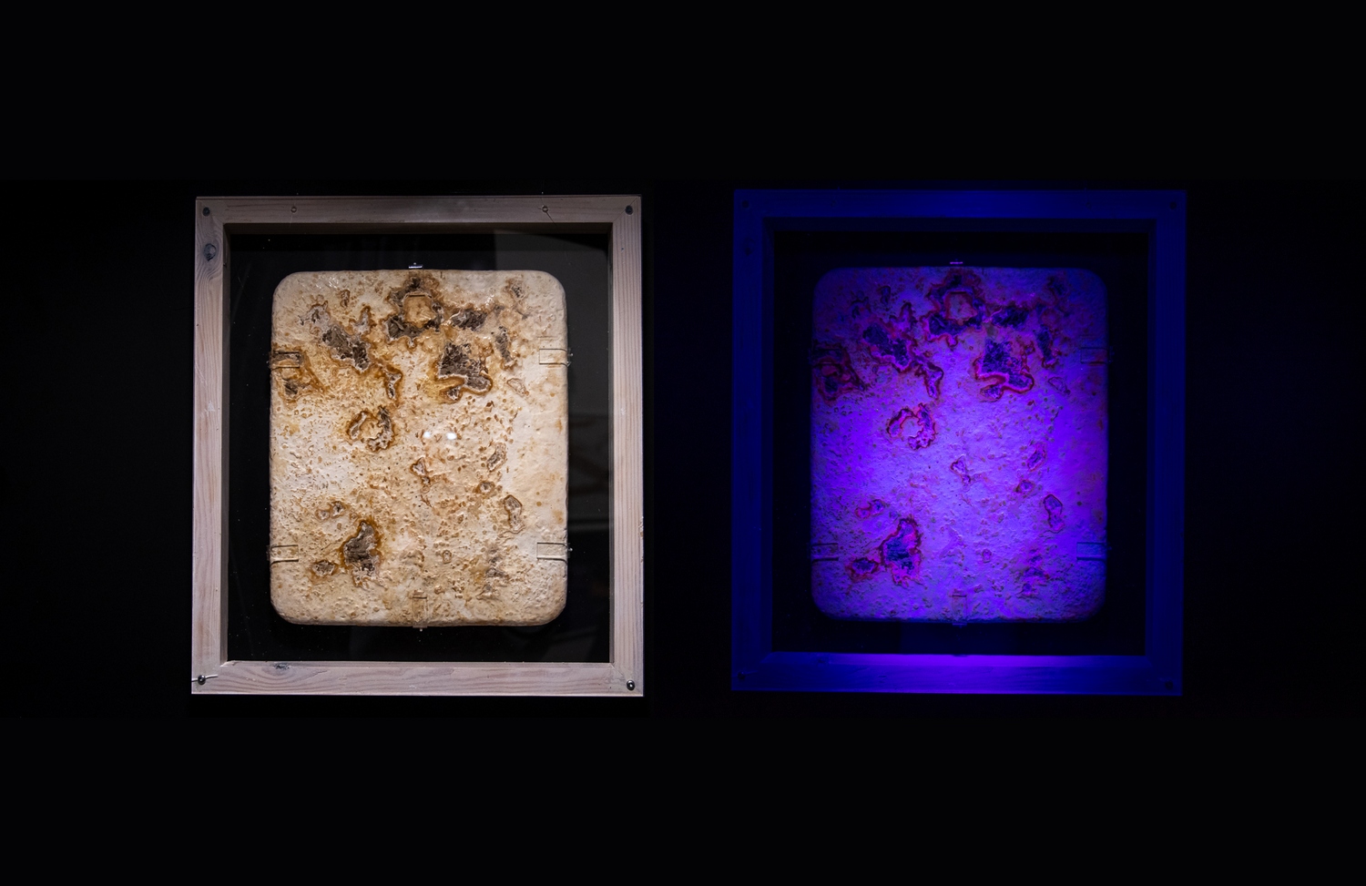 Tactile%20whiteness_UV%20light%20in%20the%20cabin_Andrea%20Brittnek_0__2024%20-%201500x973px.jpg